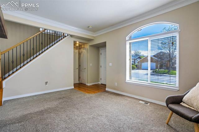 MLS Image for 504  Silver Mine  ,Colorado Springs, Colorado