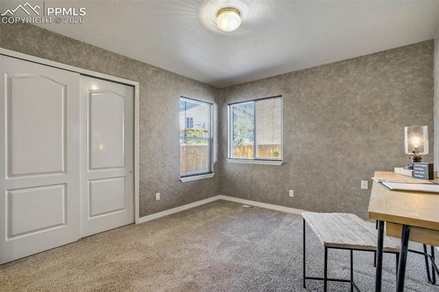 MLS Image for 504  Silver Mine  ,Colorado Springs, Colorado