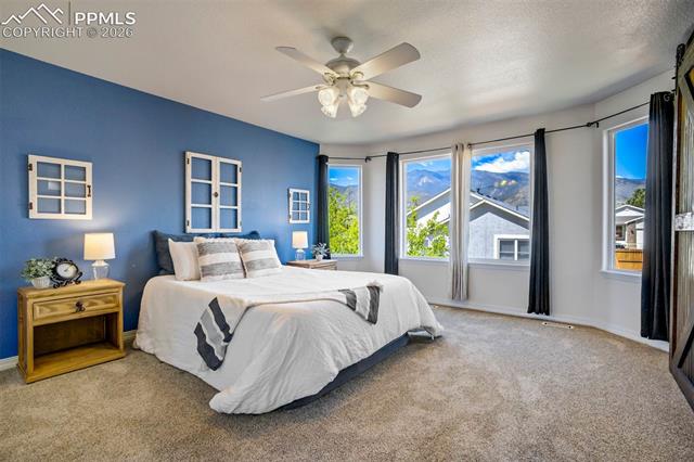 MLS Image for 504  Silver Mine  ,Colorado Springs, Colorado