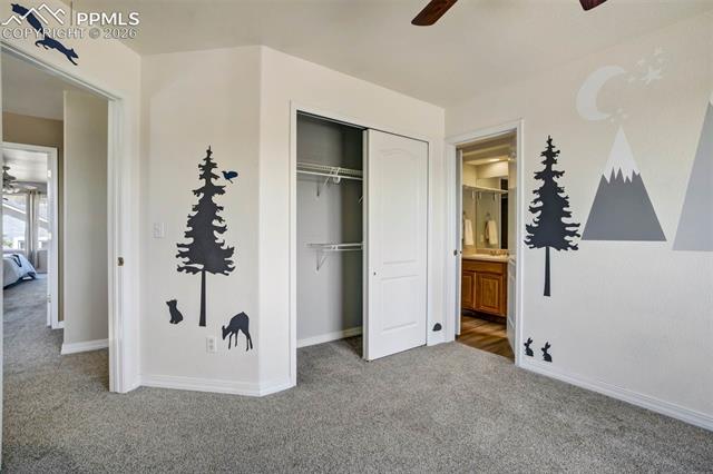 MLS Image for 504  Silver Mine  ,Colorado Springs, Colorado