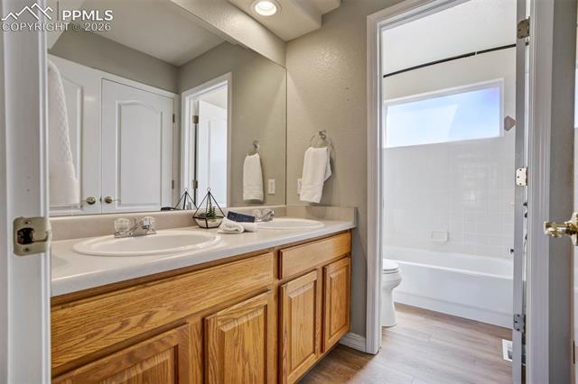 MLS Image for 504  Silver Mine  ,Colorado Springs, Colorado