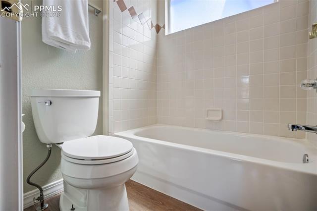 MLS Image for 504  Silver Mine  ,Colorado Springs, Colorado