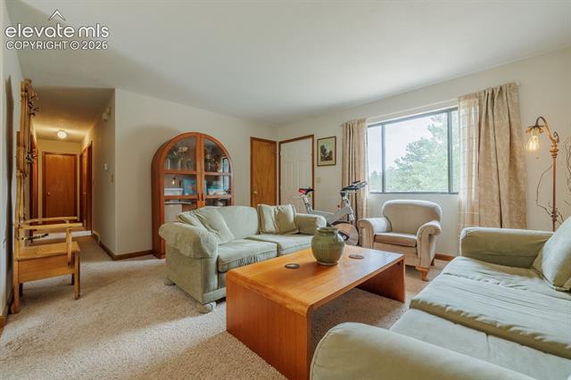 MLS Image for 107  Glovers  ,Woodland Park, Colorado