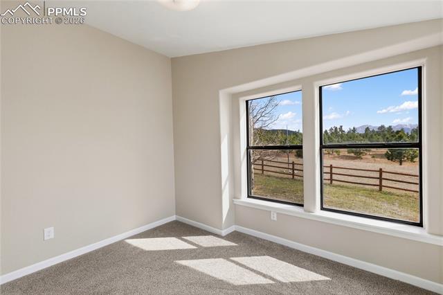 MLS Image for 585  Mills Ranch  ,Woodland Park, Colorado