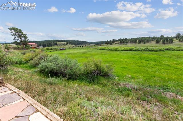 MLS Image for 1814  County Road 31  ,Florissant, Colorado