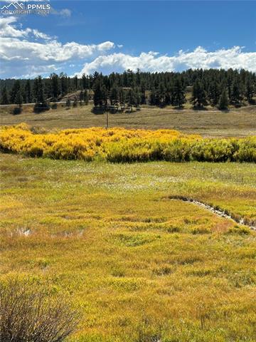 MLS Image for 1814  County Road 31  ,Florissant, Colorado