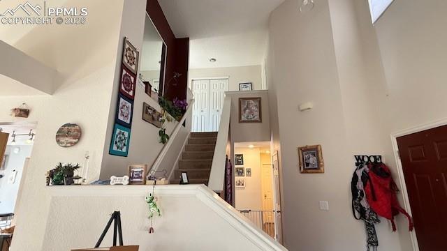 MLS Image for 3220  Pony Tracks  ,Colorado Springs, Colorado