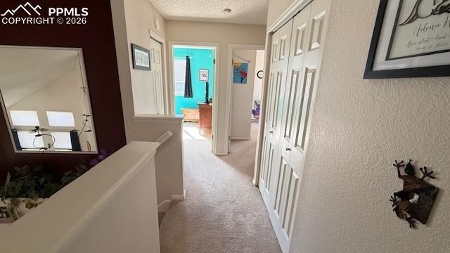 MLS Image for 3220  Pony Tracks  ,Colorado Springs, Colorado