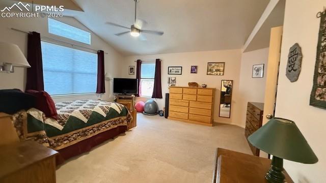 MLS Image for 3220  Pony Tracks  ,Colorado Springs, Colorado
