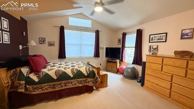 MLS Image for 3220  Pony Tracks  ,Colorado Springs, Colorado