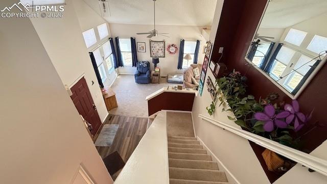 MLS Image for 3220  Pony Tracks  ,Colorado Springs, Colorado