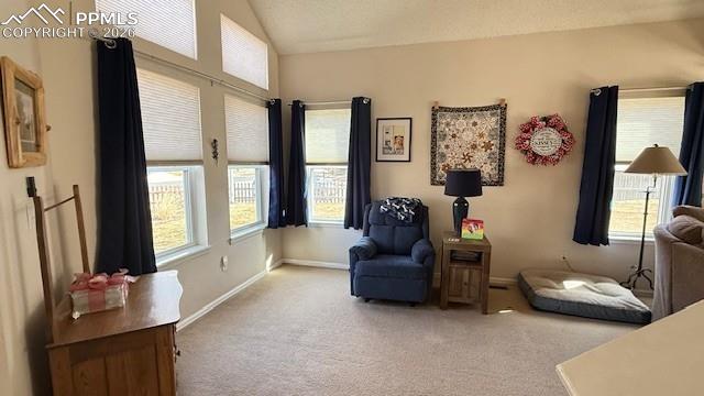 MLS Image for 3220  Pony Tracks  ,Colorado Springs, Colorado
