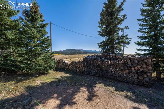 MLS Image for 24108  Highway 67  ,Divide, Colorado