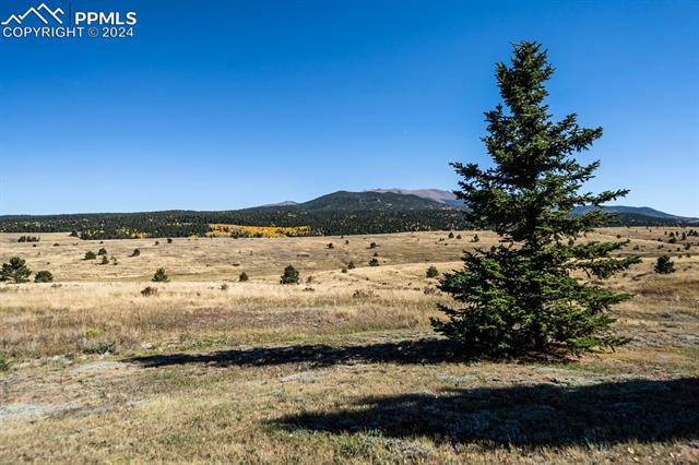 MLS Image for 24108  Highway 67  ,Divide, Colorado