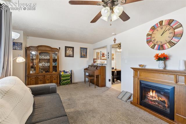 MLS Image for 1409  Evergreen  ,Colorado Springs, Colorado
