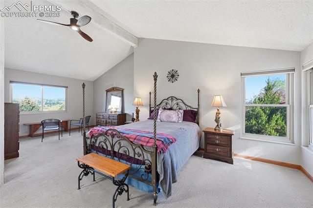 MLS Image for 6364  Galway  ,Colorado Springs, Colorado