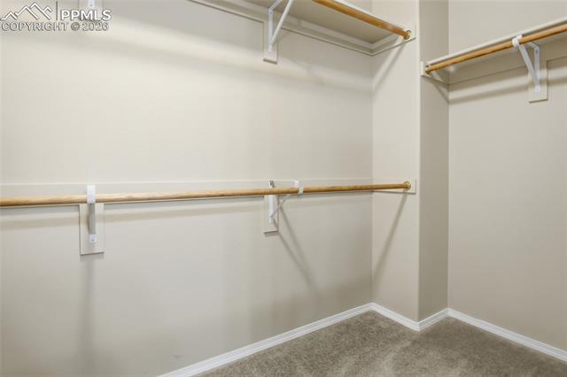MLS Image for 7031  Thorn Brush  ,Colorado Springs, Colorado