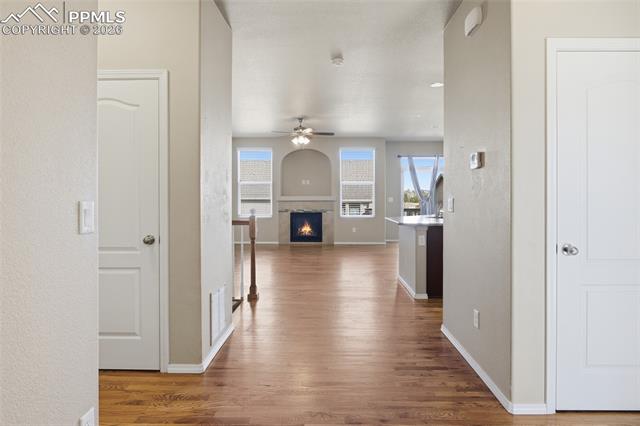 MLS Image for 7031  Thorn Brush  ,Colorado Springs, Colorado