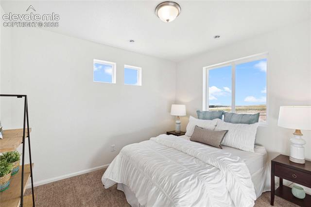 MLS Image for 5671  Bowerman  ,Colorado Springs, Colorado