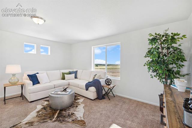 MLS Image for 5671  Bowerman  ,Colorado Springs, Colorado