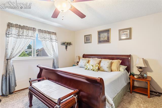 MLS Image for 8635  Westminster  ,Colorado Springs, Colorado