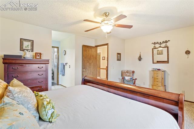 MLS Image for 8635  Westminster  ,Colorado Springs, Colorado
