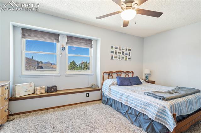 MLS Image for 8635  Westminster  ,Colorado Springs, Colorado