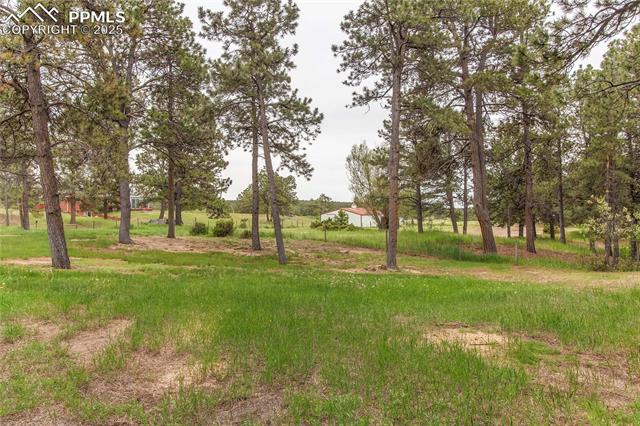 MLS Image for 8755  Burgess  ,Colorado Springs, Colorado