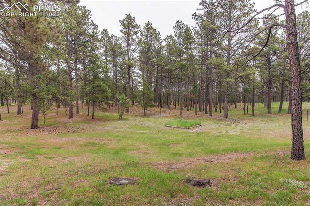 MLS Image for 8755  Burgess  ,Colorado Springs, Colorado