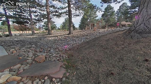 MLS Image for 460  Autumn Ridge  D ,Colorado Springs, Colorado