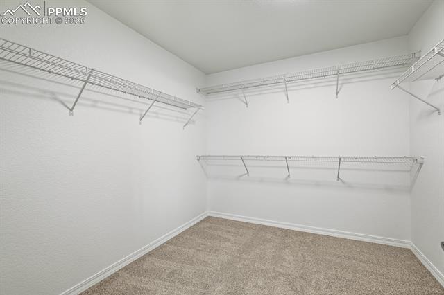 MLS Image for 9134  Chieftan  ,Colorado Springs, Colorado