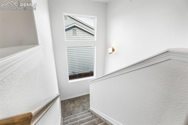 MLS Image for 9134  Chieftan  ,Colorado Springs, Colorado