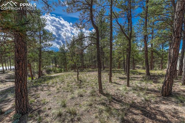 MLS Image for 101  Dunlap  ,Florissant, Colorado