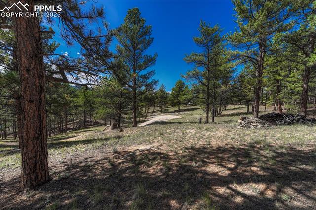 MLS Image for 101  Dunlap  ,Florissant, Colorado