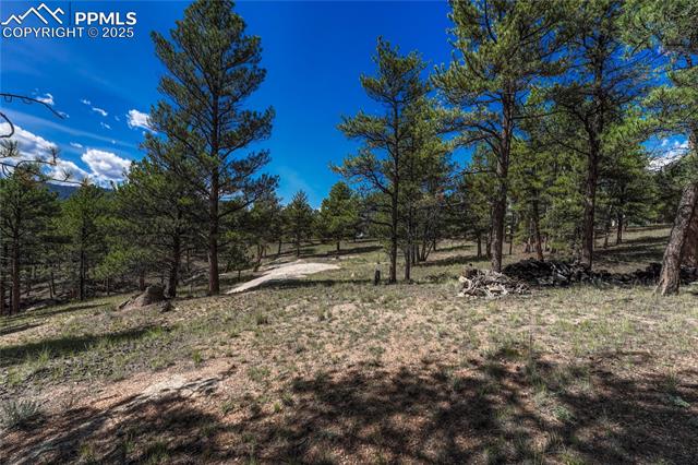 MLS Image for 101  Dunlap  ,Florissant, Colorado