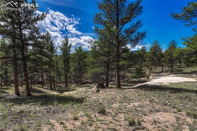 MLS Image for 101  Dunlap  ,Florissant, Colorado