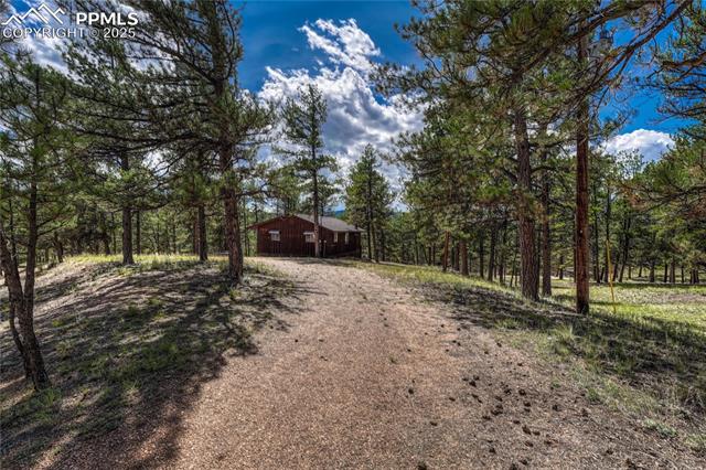 MLS Image for 101  Dunlap  ,Florissant, Colorado