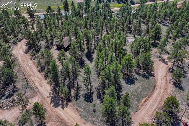 MLS Image for 101  Dunlap  ,Florissant, Colorado