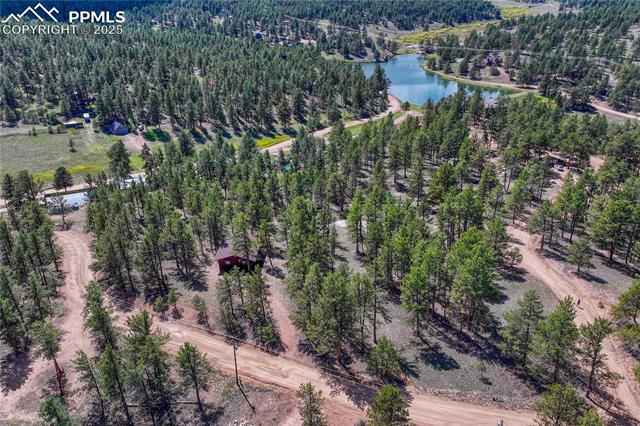 MLS Image for 101  Dunlap  ,Florissant, Colorado