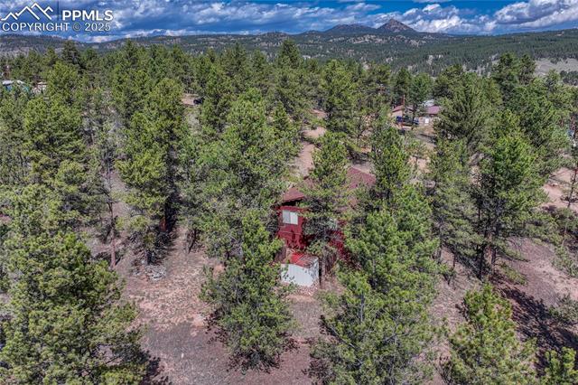 MLS Image for 101  Dunlap  ,Florissant, Colorado