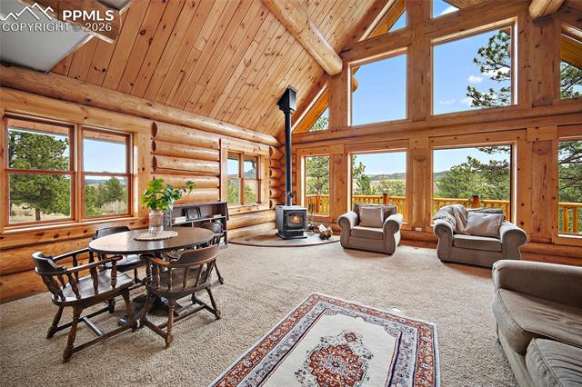 MLS Image for 13475  Hedi  ,Woodland Park, Colorado