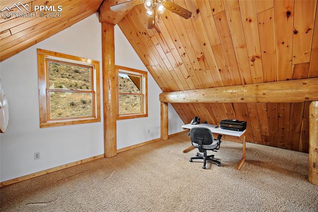 MLS Image for 13475  Hedi  ,Woodland Park, Colorado