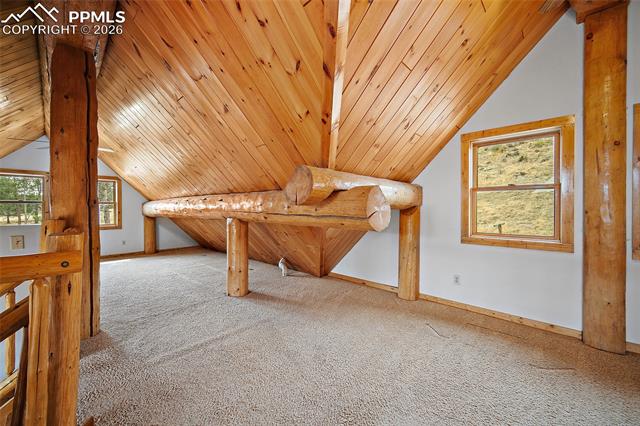 MLS Image for 13475  Hedi  ,Woodland Park, Colorado