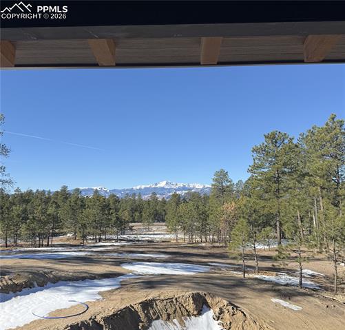 MLS Image for 14432  Quartz Creek  ,Colorado Springs, Colorado