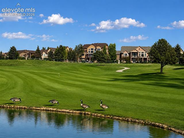 MLS Image for 9952  Oak Knoll  ,Colorado Springs, Colorado
