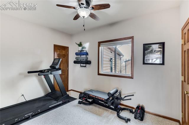 MLS Image for 6980  Weeping Willow  ,Colorado Springs, Colorado