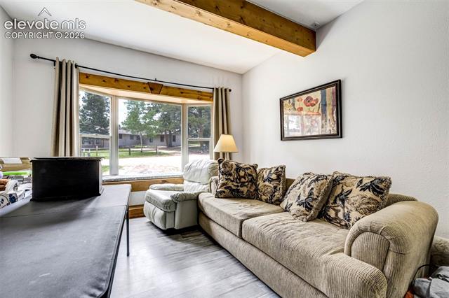 MLS Image for 53  Bluebird Hill  ,Woodland Park, Colorado