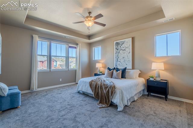 MLS Image for 1133  Crown Haven  ,Colorado Springs, Colorado