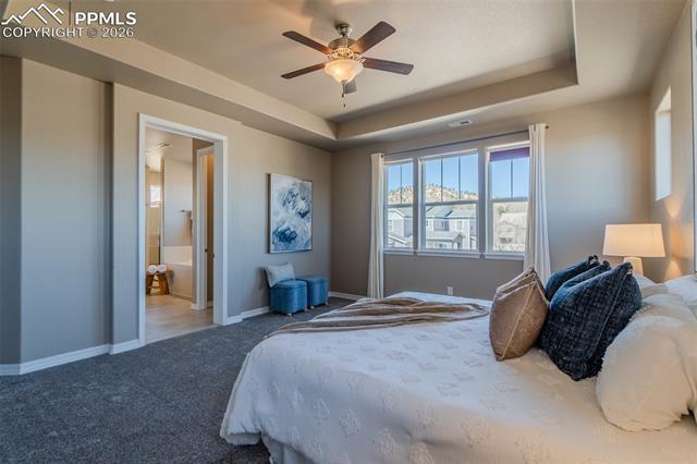 MLS Image for 1133  Crown Haven  ,Colorado Springs, Colorado