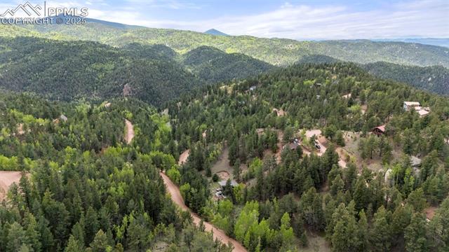 MLS Image for 529  Grosbeak  ,Divide, Colorado
